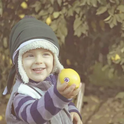 fruit_17.webp