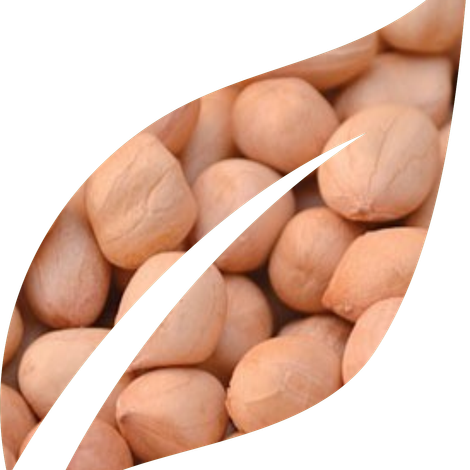 M.Lakhamsi & Co.