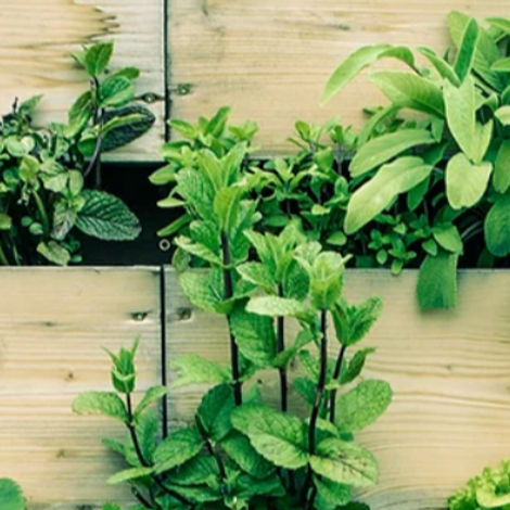 Produce Services Europe - Products