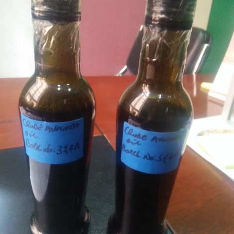 Avocado Crude Oil