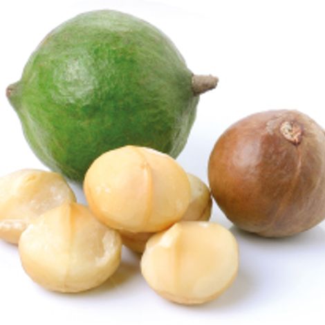 Ivory Macadamias