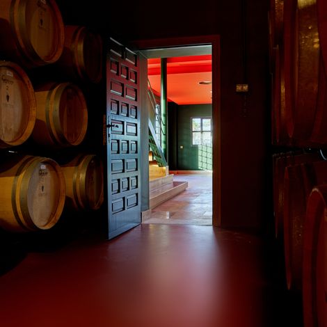 Barrel aging room of Virtus winery