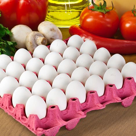 Ercanlar Yumurta Yarka Yem Gida insaat Nakliyat Sanayi Ve Ticaret A S