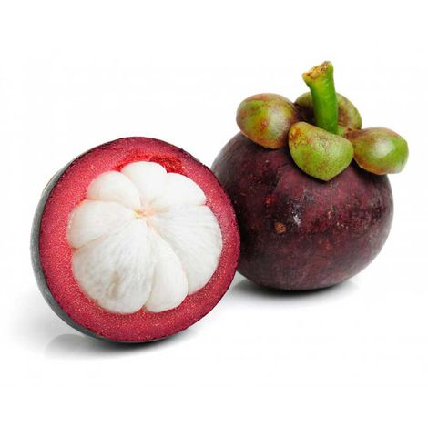 MANGOSTEEN-sri-lanka.jpg