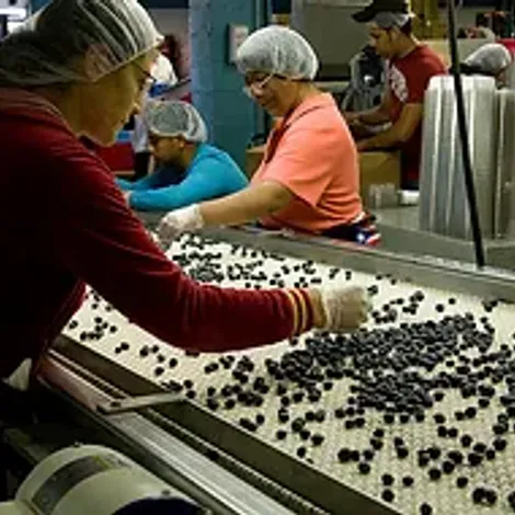 Production
