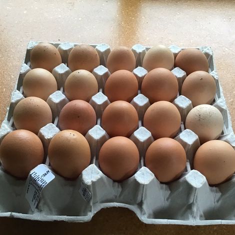 Aotearoa Free Range Eggs Limited