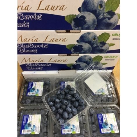 blueberries