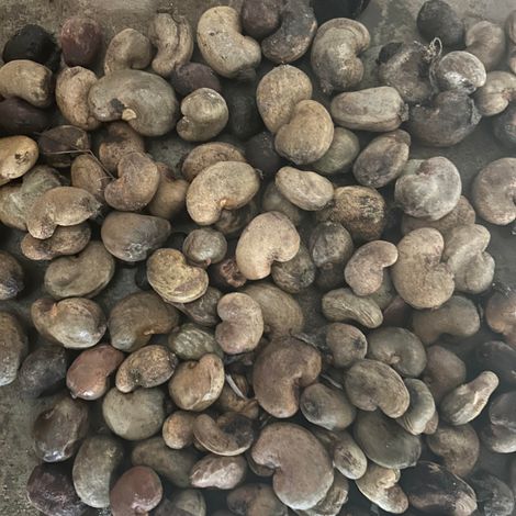 RAW CASHEW NUT