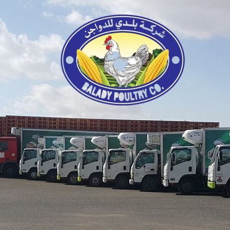 Balady Poultry Co. - Transportation