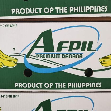 Agros Import Export International Corp._Banana_Cavendish