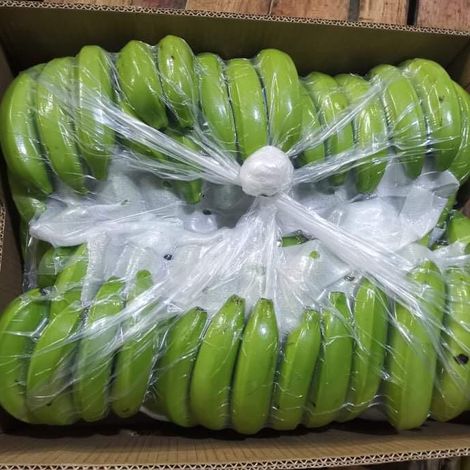 Agros Import Export International Corp._Banana_Cavendish