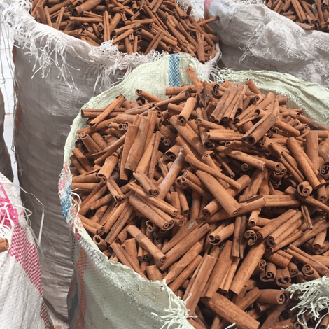 Cassia Cinnamon
