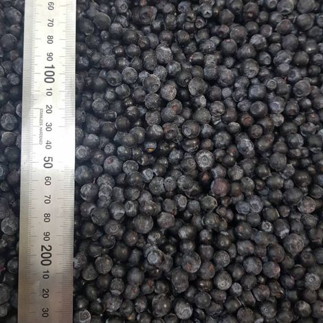 wild frozen blueberries grade A