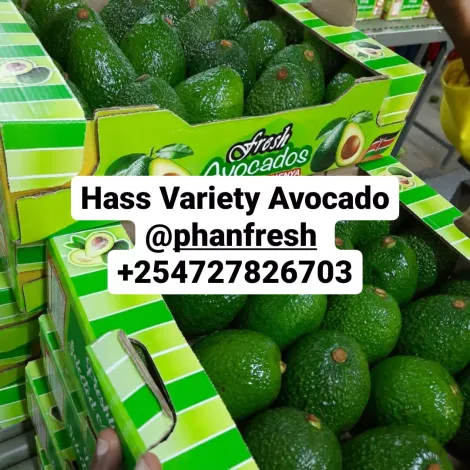 HASS READY FOR EXPORT