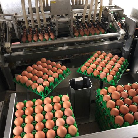 Production