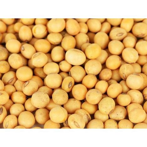 soya beans
