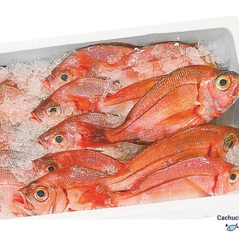 Sulmaré - Empresa de Pesca Lda
