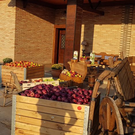 SINFRUTTA SRL - Products