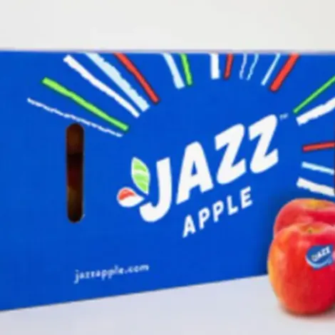 zpack_enza_jazz.webp