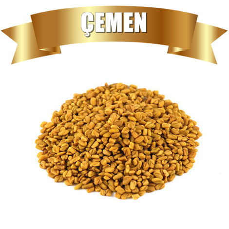cemen-28.png
