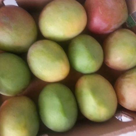 PROFRESH EXPORT LTD