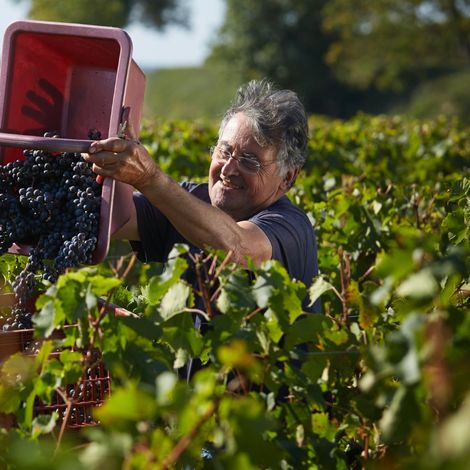 Château Bernateau - People