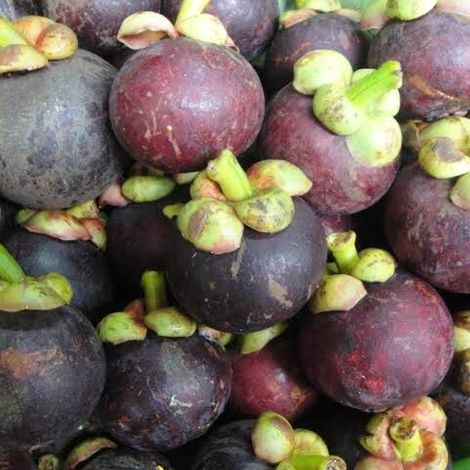 Whole Mangosteen