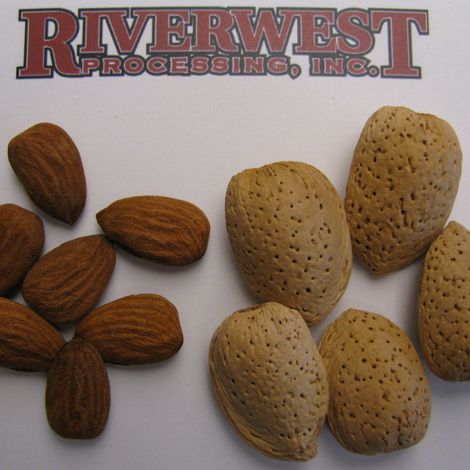 Riverwest Processing Inc