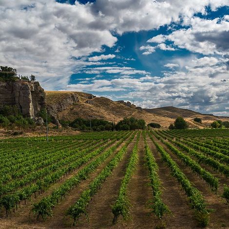 Bodegas Licinia