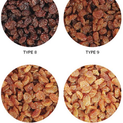 Cancilar Food Ltd. Sti.