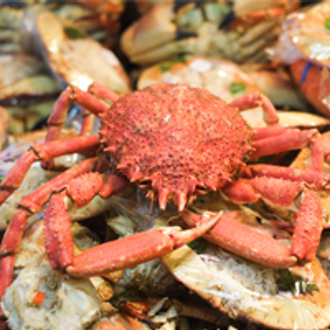 spider_crab.png