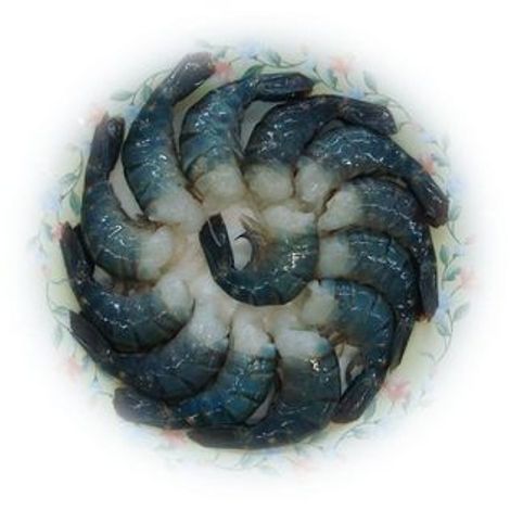 COASTAL SEA FOODS (BD.) LTD.