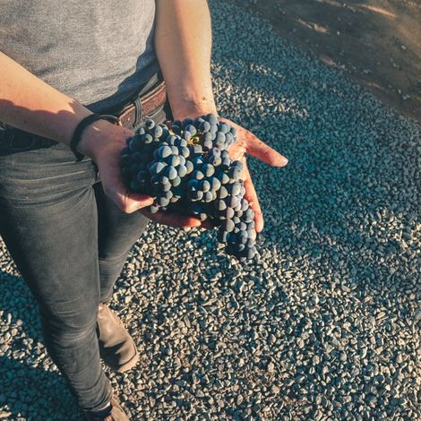 Grape