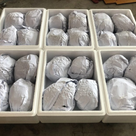 THAI CHI EXPORT CO., LTD.