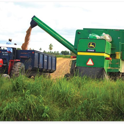 Harvest