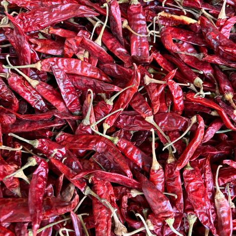 Dried Red Chillies