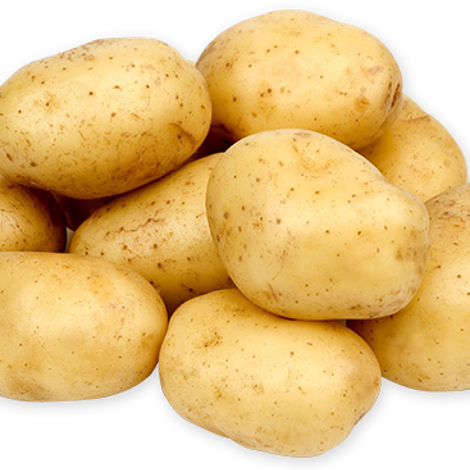 Potato