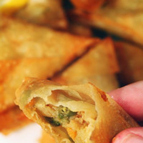 Jasat Halal Pies Limited