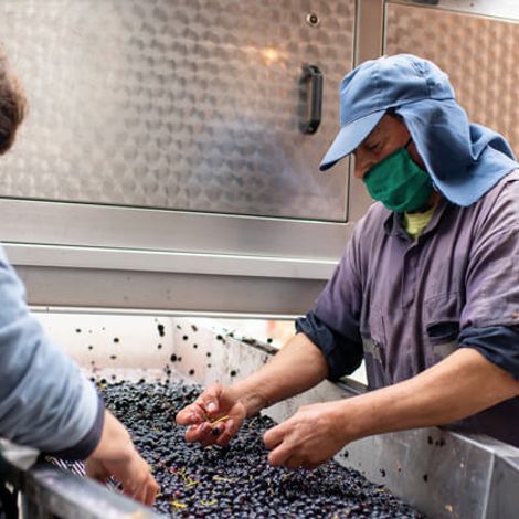 Winemaking