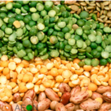 Sindh Agro Industries