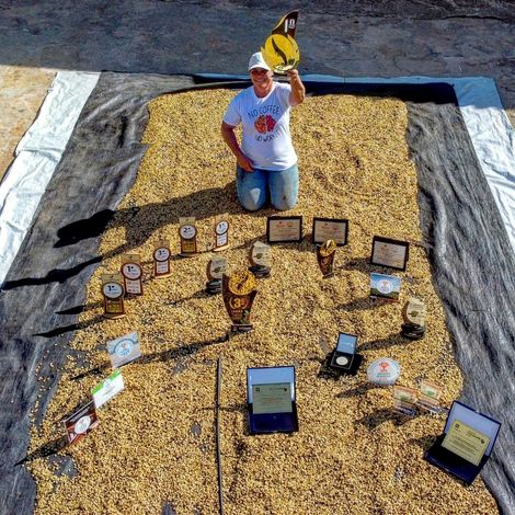 Green Coffee Beans from Brazil