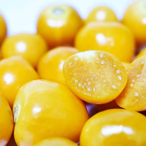 gooseberry uvilla