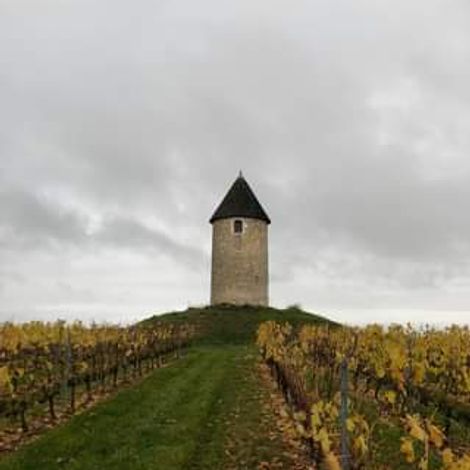 Château Martet