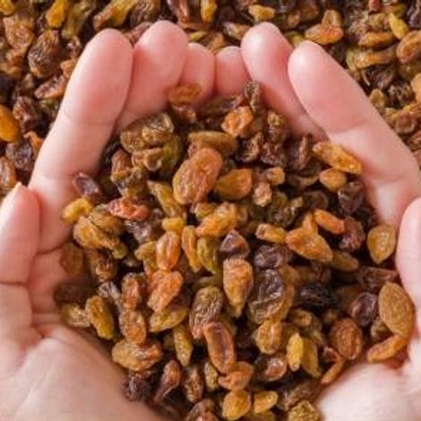 sun dried grapes