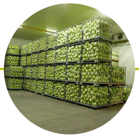 MB_Hell-Gruene-Linie_BILD03.png