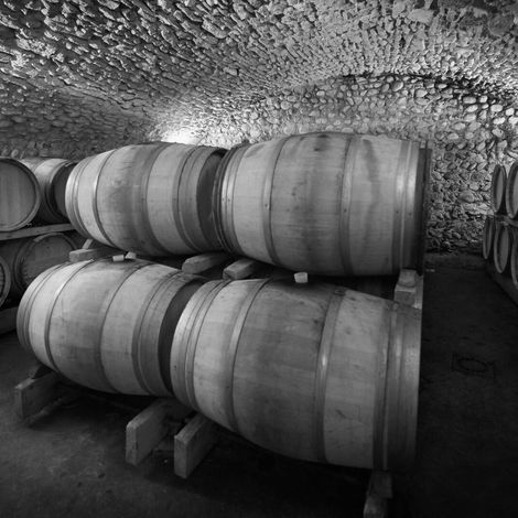 EARL Etienne Pochon - Wine Cellar