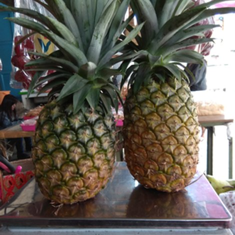 Fresh Pineapple