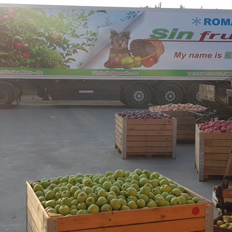 SINFRUTTA SRL - Logistics
