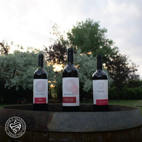 Bodega Nueva California - Wines