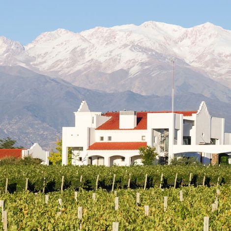 Finca Ambrosia